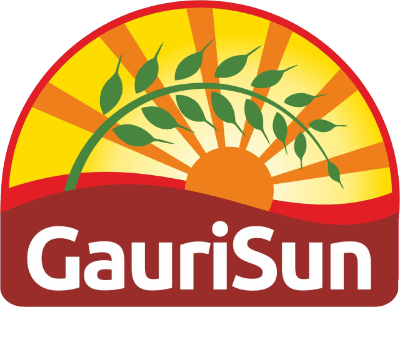 Gaurisun Impex